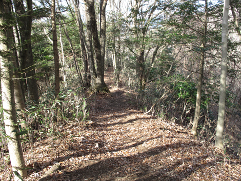 20161229hike (230)